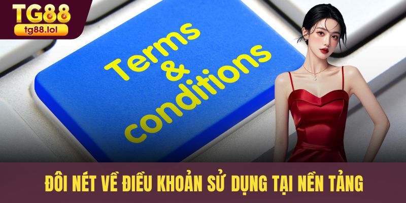 Đôi nét về điều khoản sử dụng tại nền tảng
